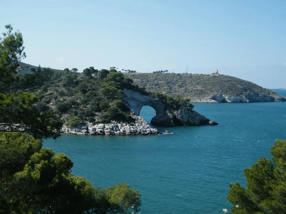 Holidays in Vieste in Charming Villas - 5