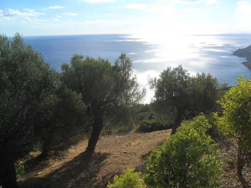 Principe di Vallescura Cilento Country House