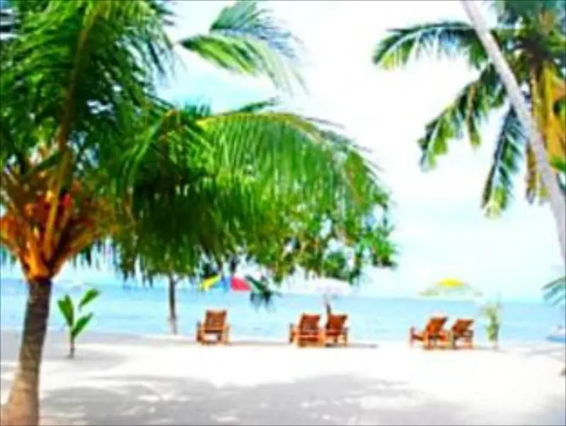 Panglao Tropical Villas