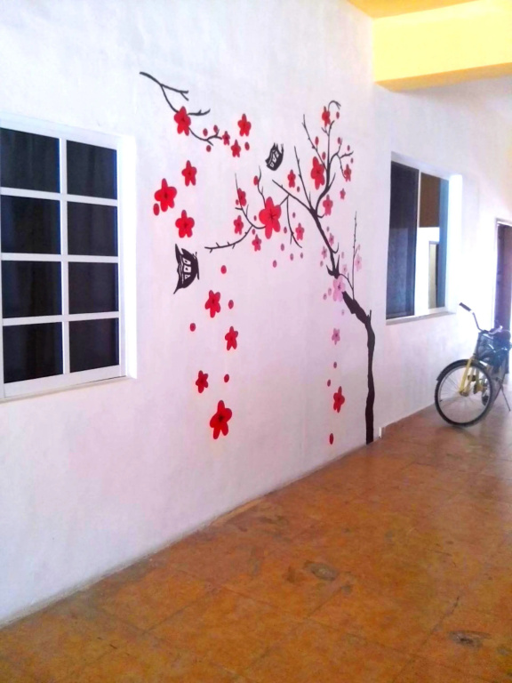 Hotel El Cedro