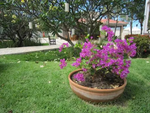 Pousada Tropical Ilhas