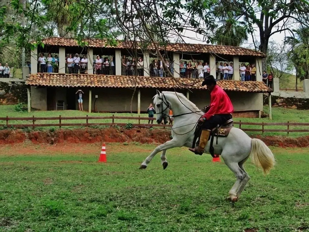 Fazenda da Roseta