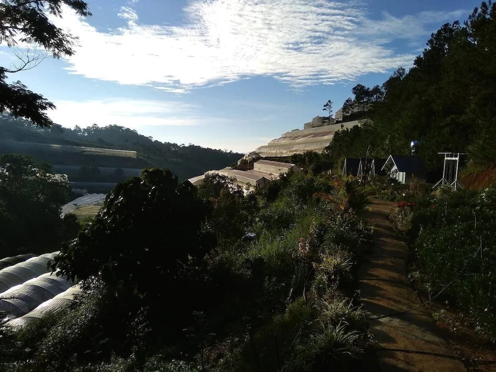 Tuyết Hoa Hòn Bồ Homestay