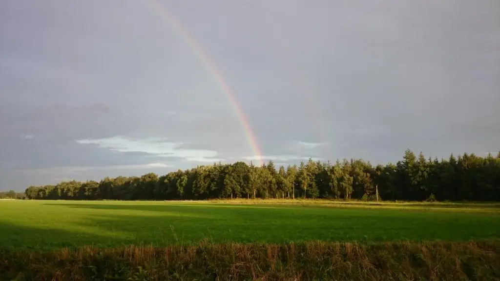 B&B Verwoldsehof Op de deel
