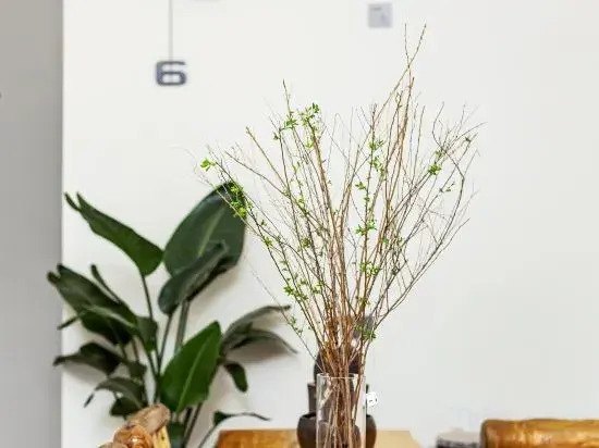 Yuanzhu Guesthouse