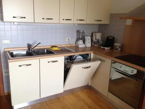 Apartment Brinovec