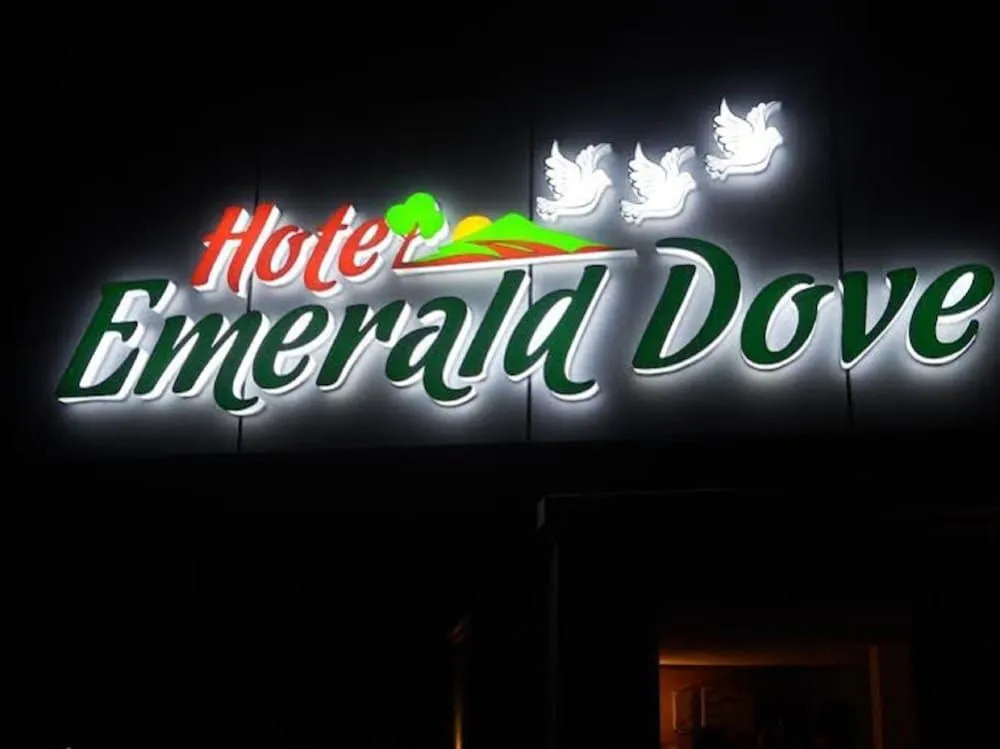 Emerald Dove