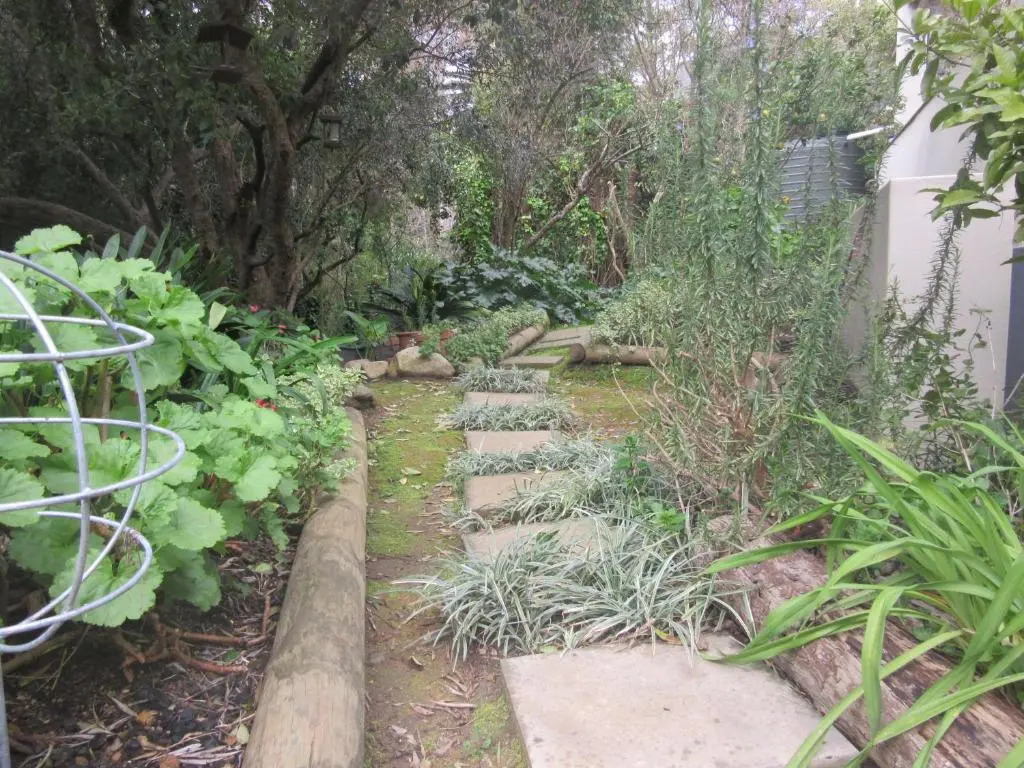 Pecan Tree Studio 1