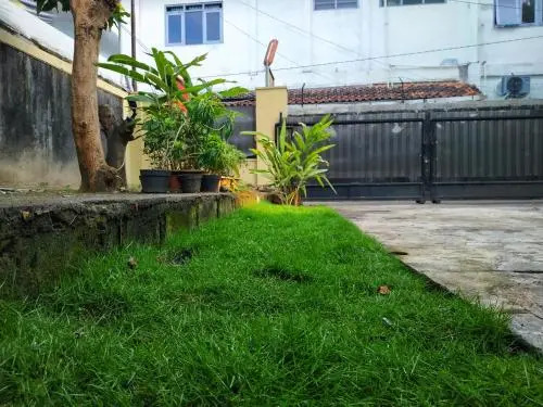 Happy Tree Hostel Yogyakarta
