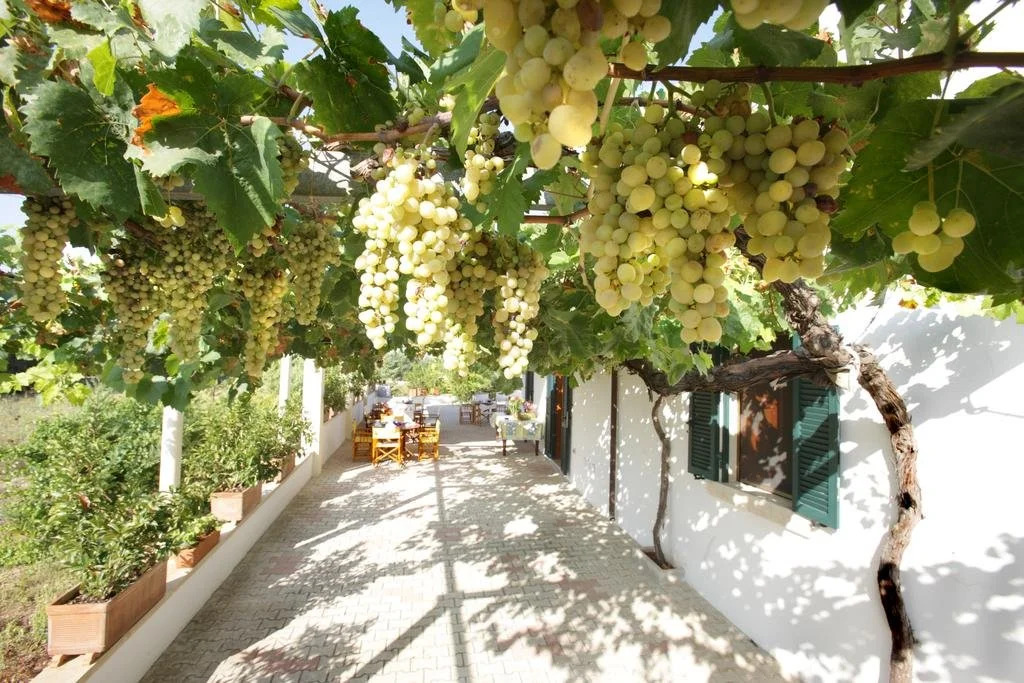 B&B Casale Spisari