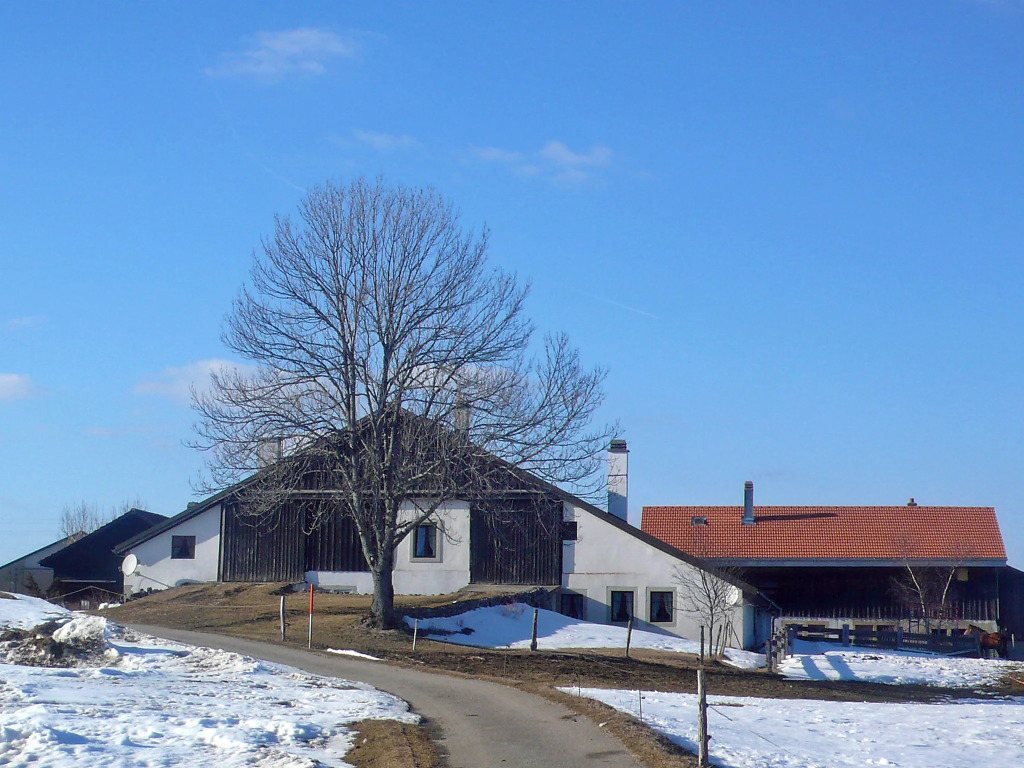 Les Grangettes
