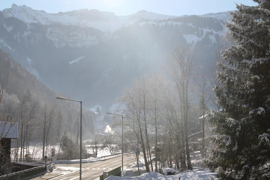 Apartment Bergblick-Mellau