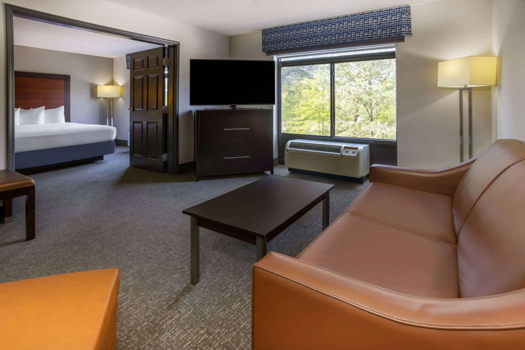Wingate by Wyndham Atlanta Galleria/ Ballpark