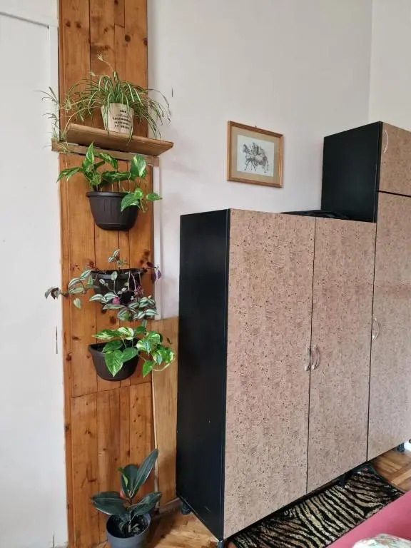Apartament Ultracentral 2 Piata Muzeului Cluj-Napoca