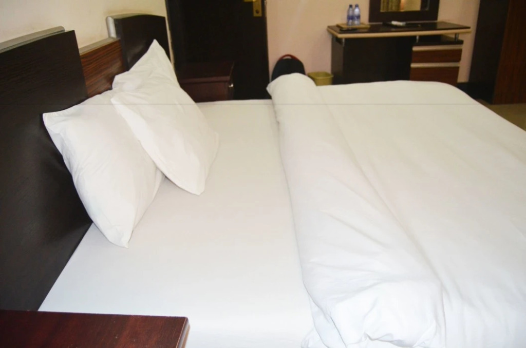 Residency Hotel Twin House