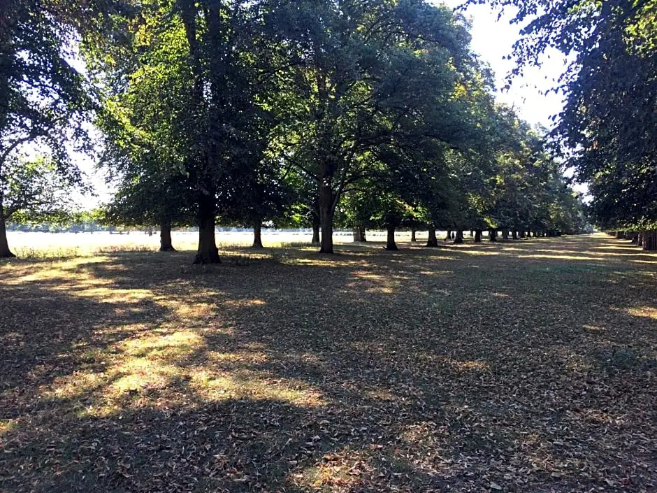 Old Station Gardens, SW London