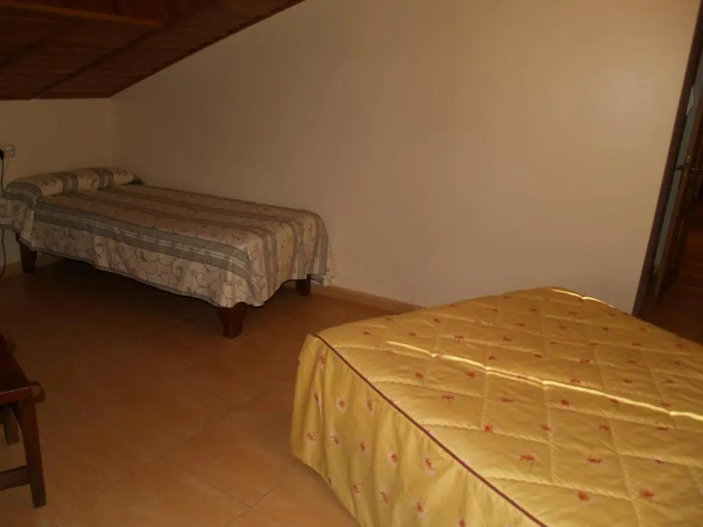 Hostal Tribal