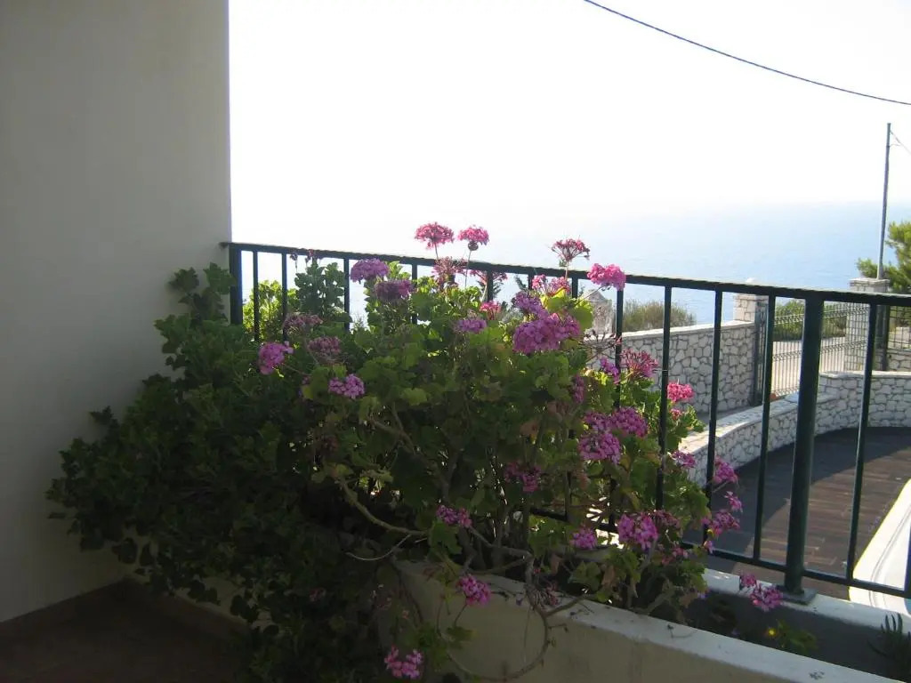 Villa Milia