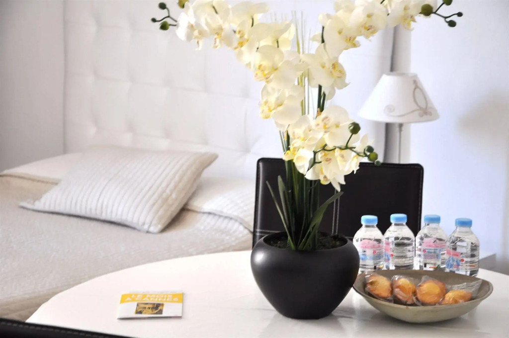 SeaYouSoon Inn Cannes - Studios
