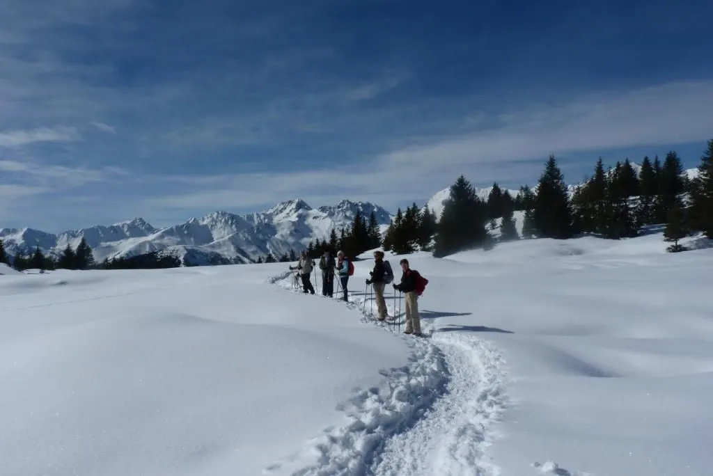 Hotel Alpinlounge Weiberhimmel