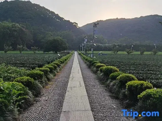 Hangzhou Xihu Scenic Area Hong'er Farm stay