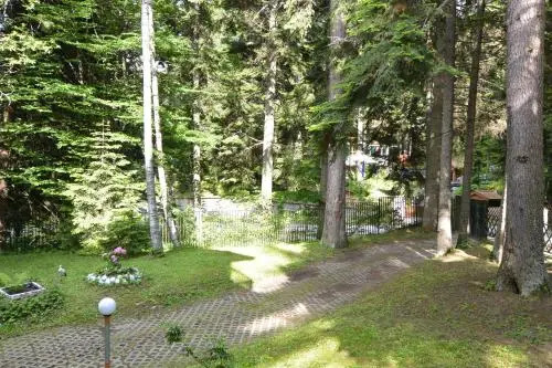 The Forest Villa Borovets by BookVillaBG