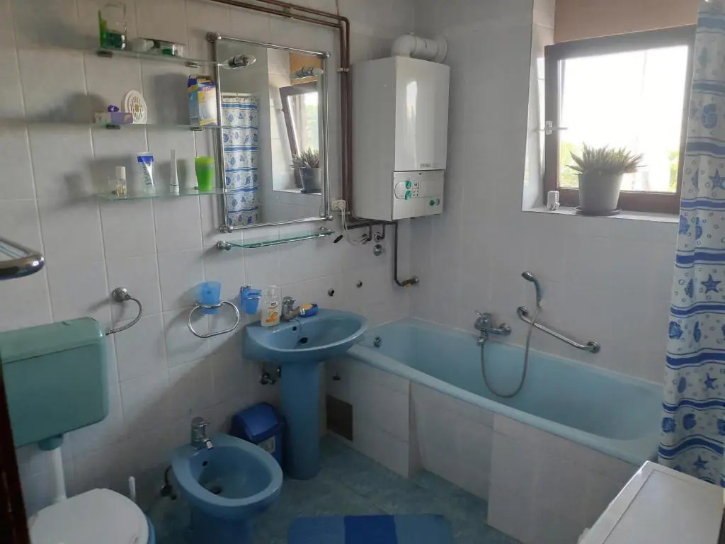 Apartment Viktorija