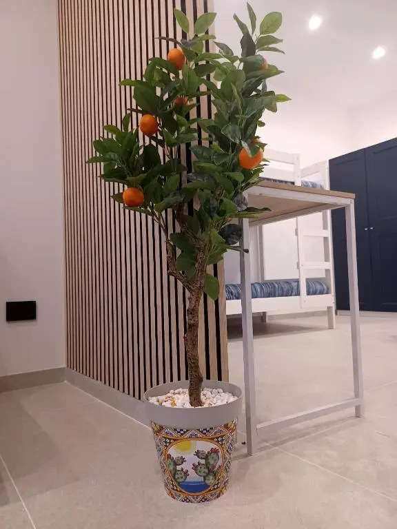 I Fiori del Mandorlo