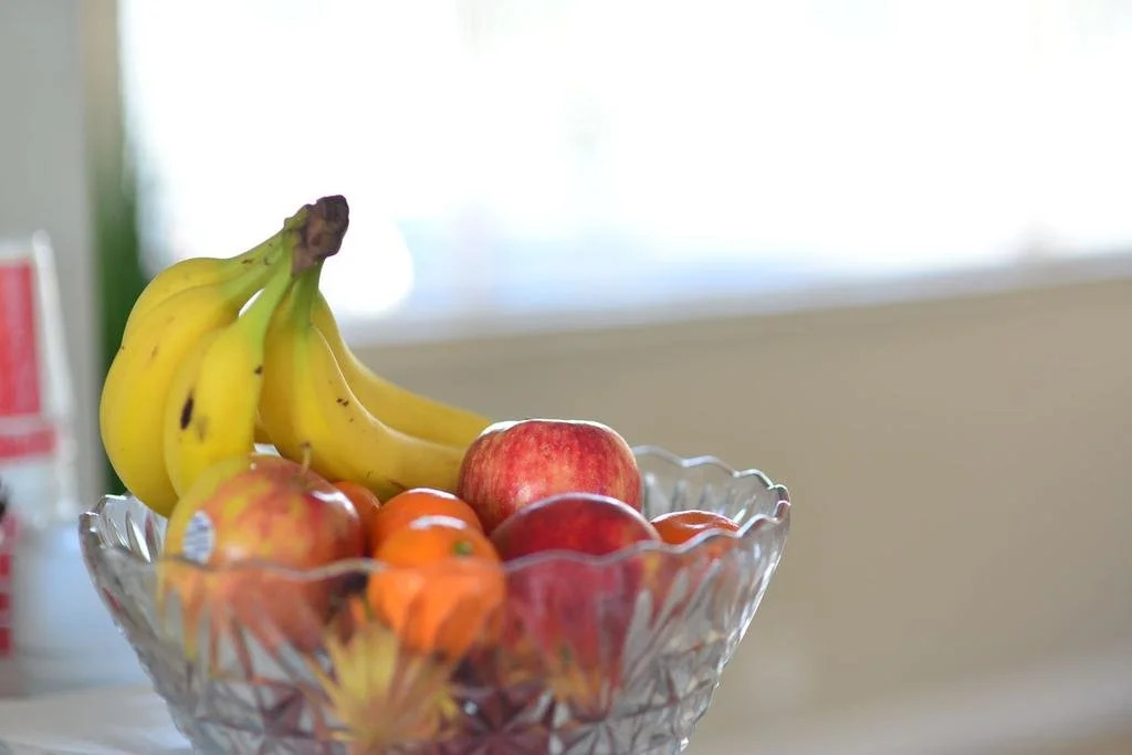 Regency Inn & Suites Sarasota