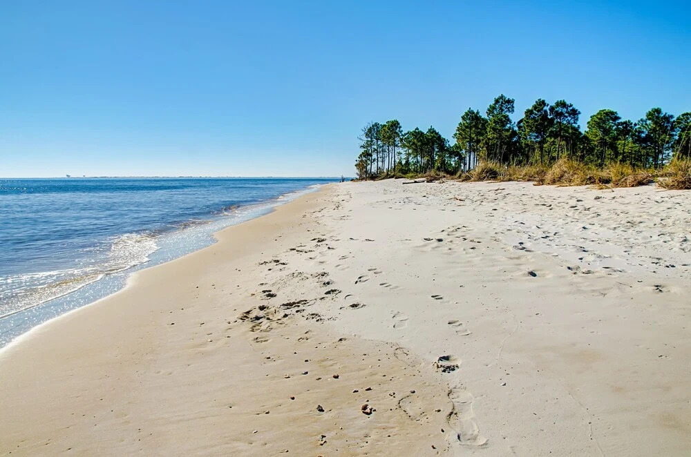 Bikinis & Martinis - Great East End Location - Swimming Pool And Boardwalk Access 3 Bedroom Condo by Redawning