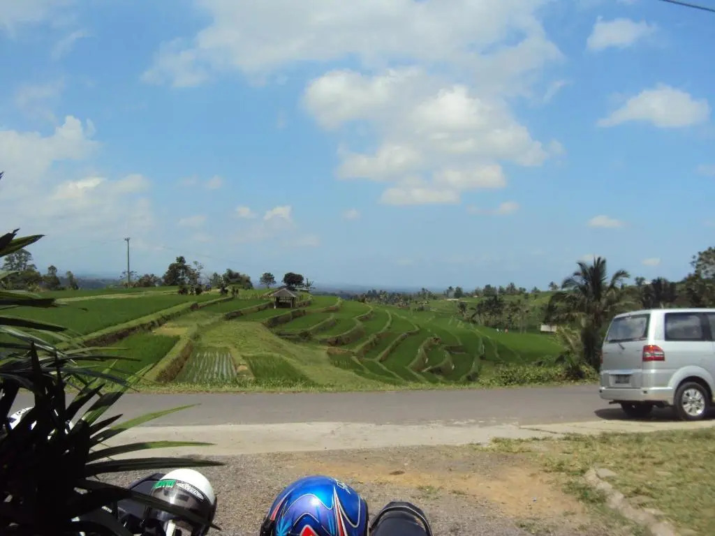 Teras subak Homestay