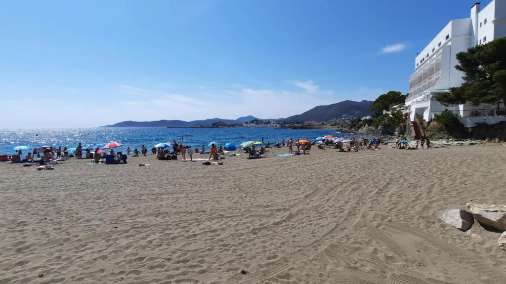 Grifeu Tramuntana 3