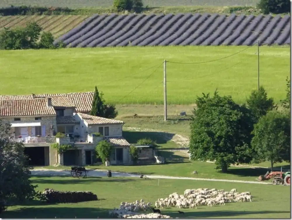 La Bergerie