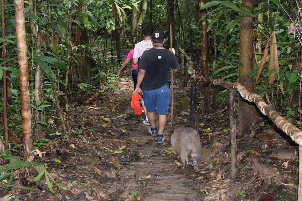 ExplorNapo Lodge