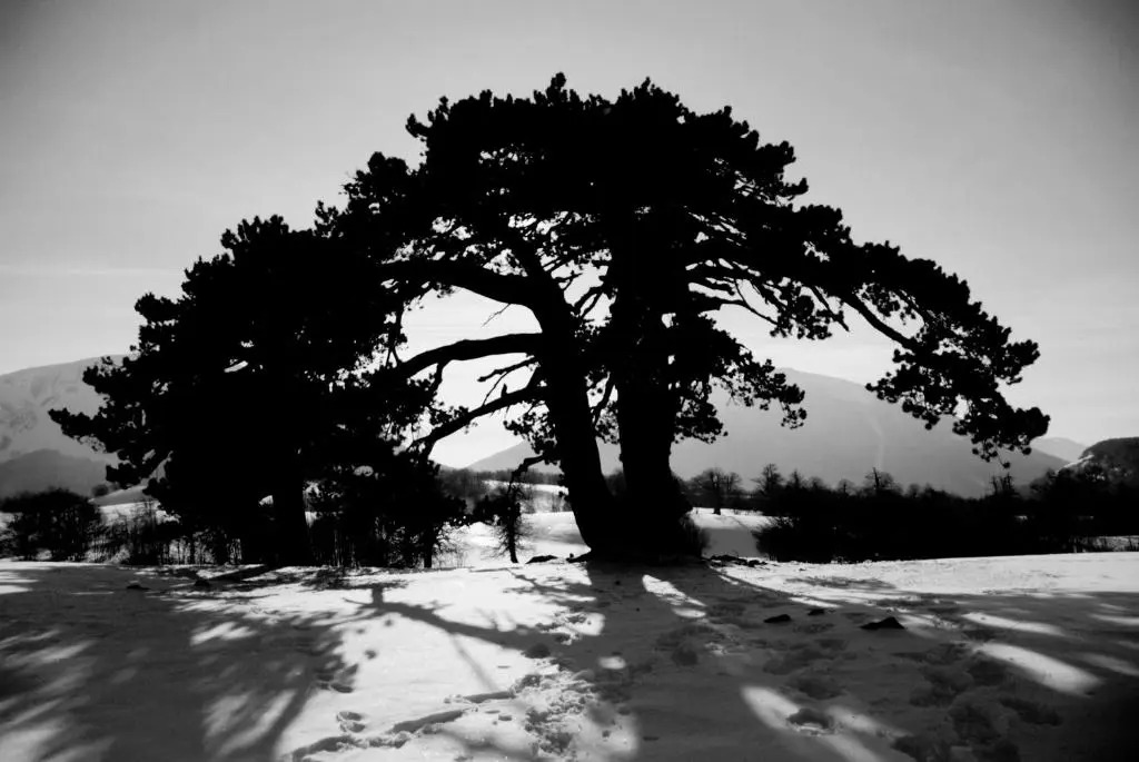 Tana Libera Tutti 3 Nature, Yourself, Love