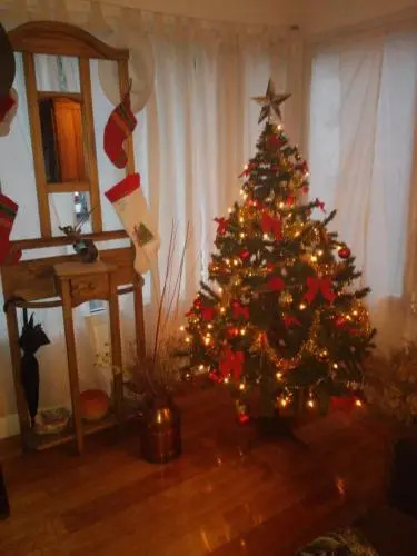 La casa de Silvia