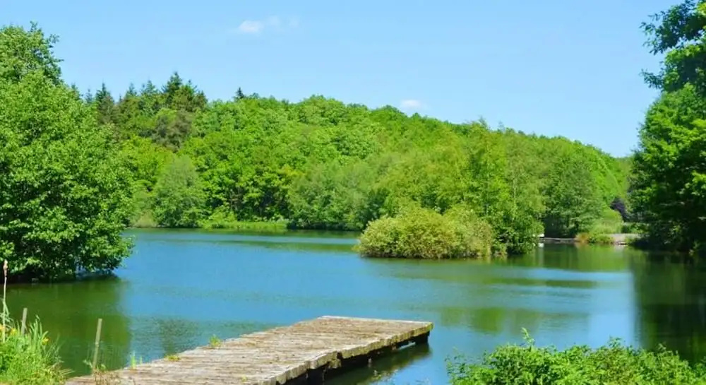 House With 5 Bedrooms in Bertogne, With Wonderful Lake View, Furnished Garden and Wifi