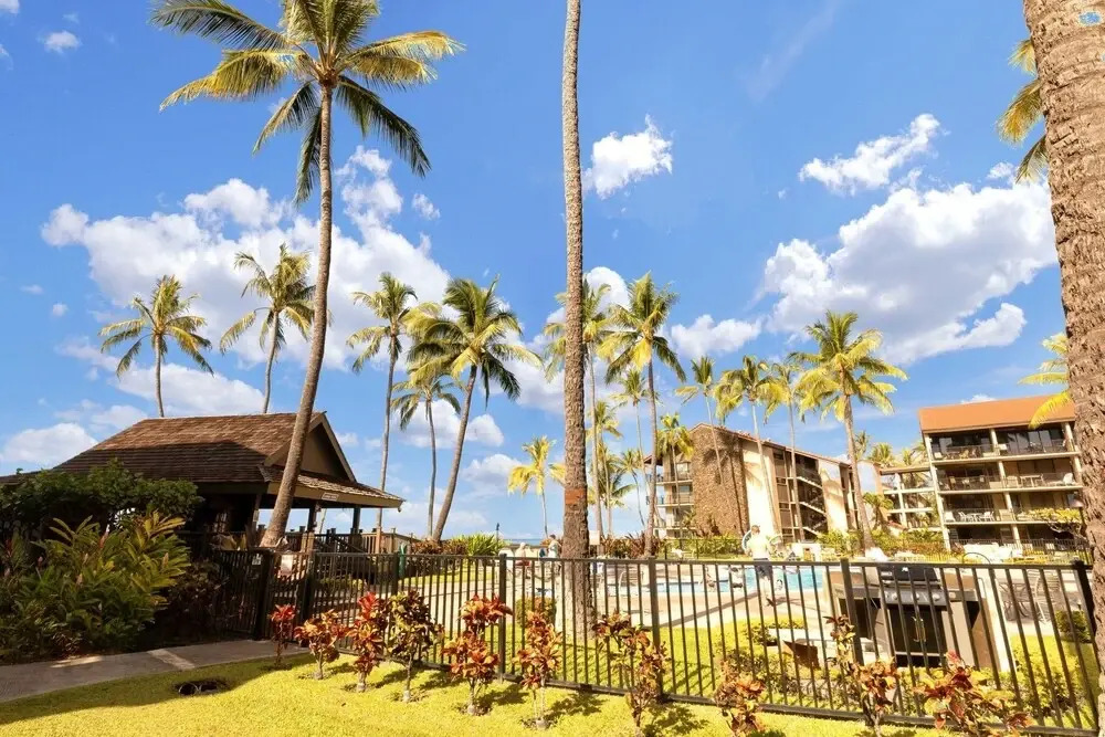 Panoramic Ocean View 1br Condo Suite 150 Feet From The Ocean At Papakea Ocean Front Resort 1 Bedroom Condo by Redawning