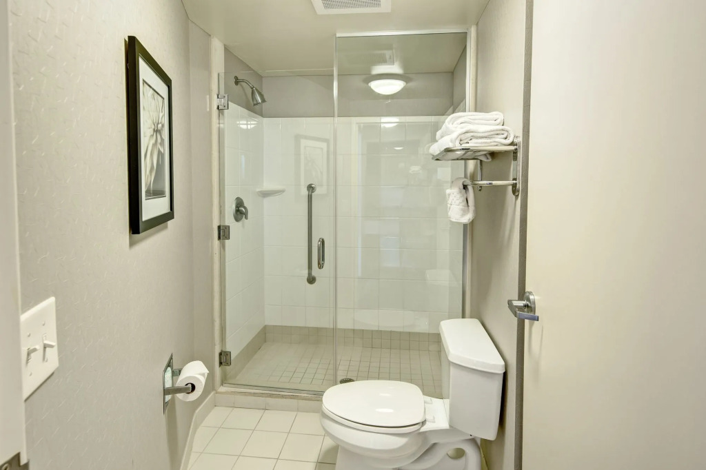 SpringHill Suites by Marriott New Bern