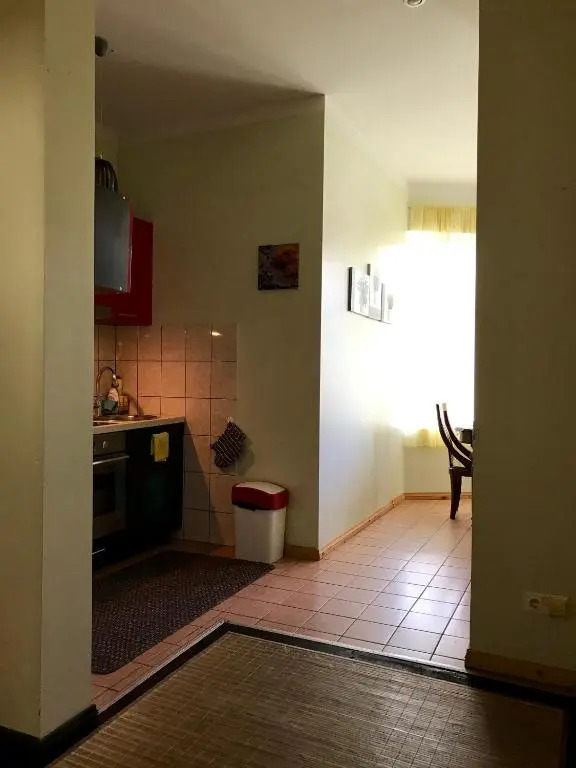 Chelsea Roosi 11 Apartment