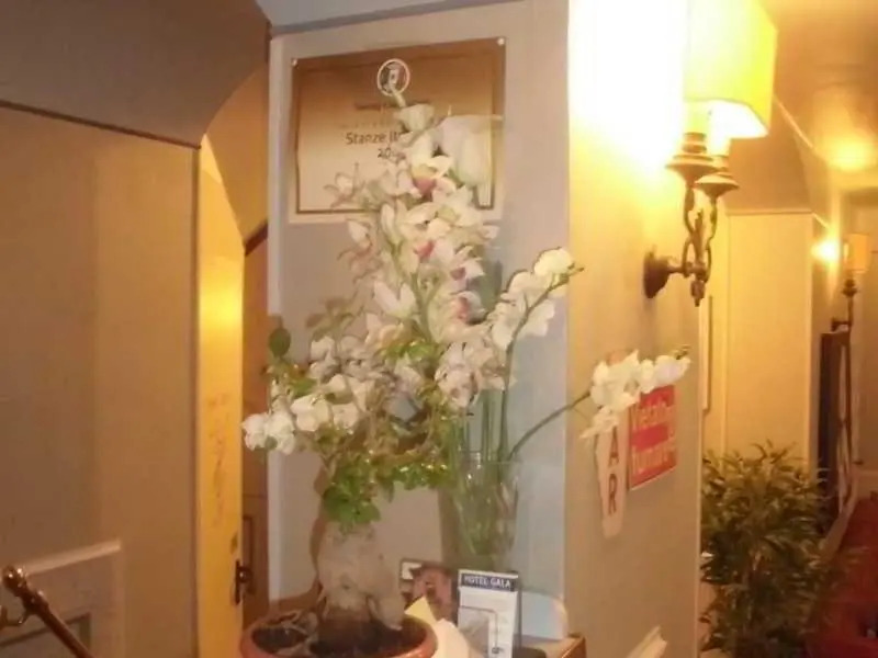Hotel Gala