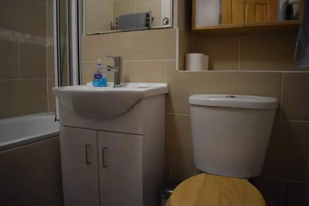 Cosy 1 Bedroom Apartment in Homerton