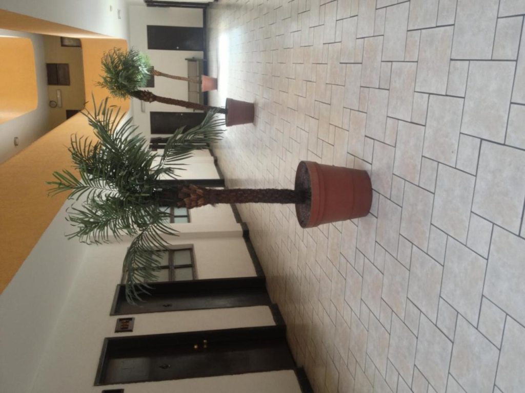 Capital O Hotel Del Parque Guadalajara