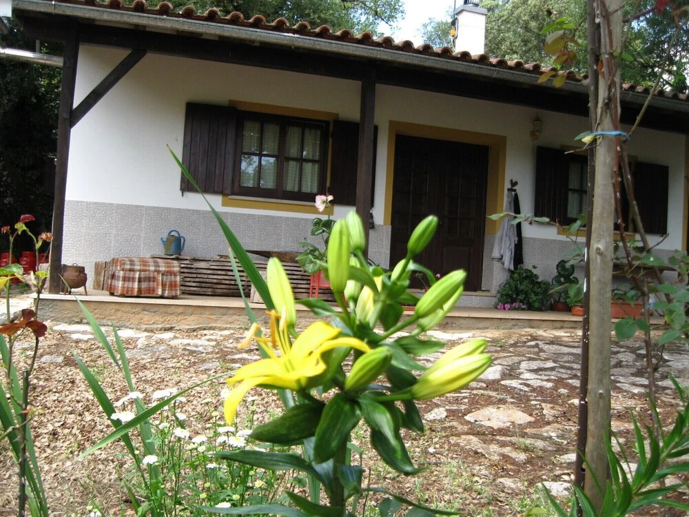 Pereira Cottage