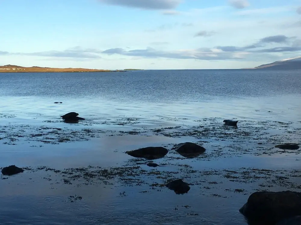 Borgir - The House by the Sea