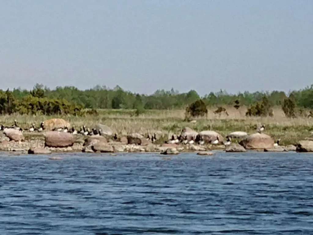 Toomalõuka Tourist Farm