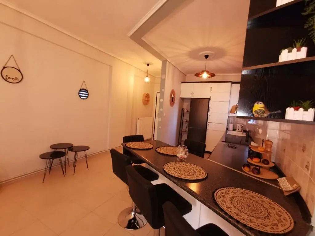 Theia Analipsi Central Apartment Katerini