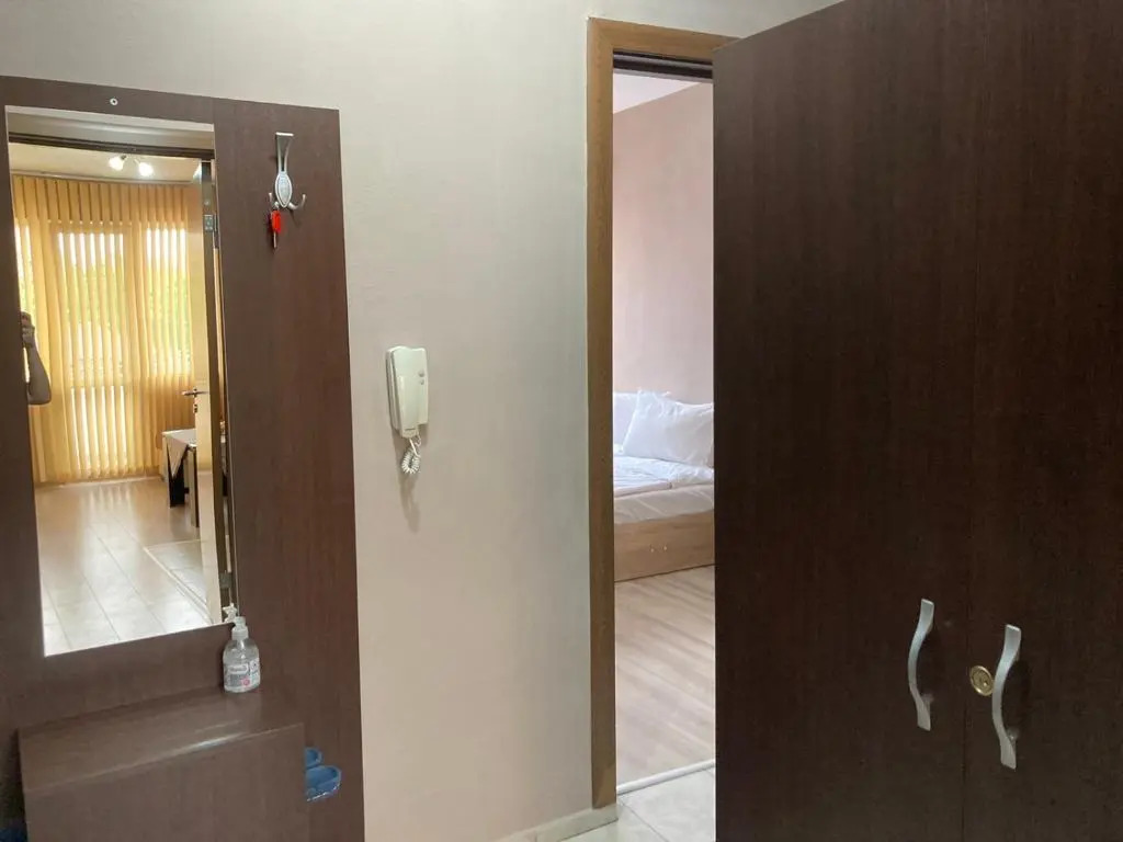 Tyulev apartment 2