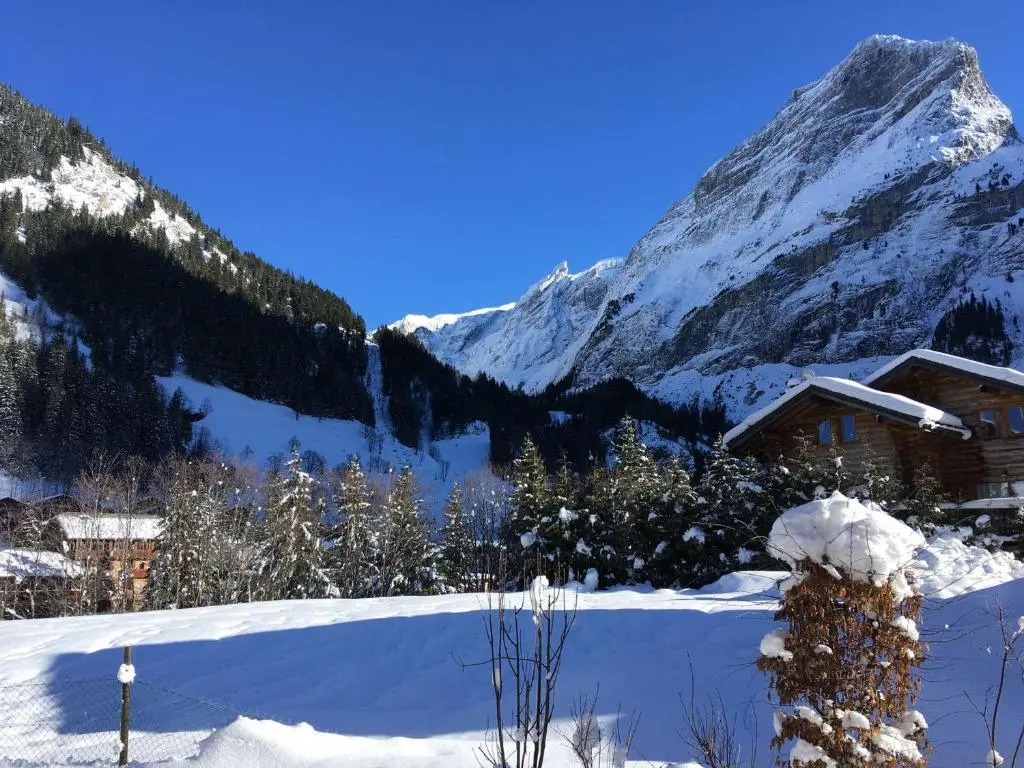Appartement Pralognan-la-Vanoise, 3 pièces, 4 personnes - FR-1-464-29