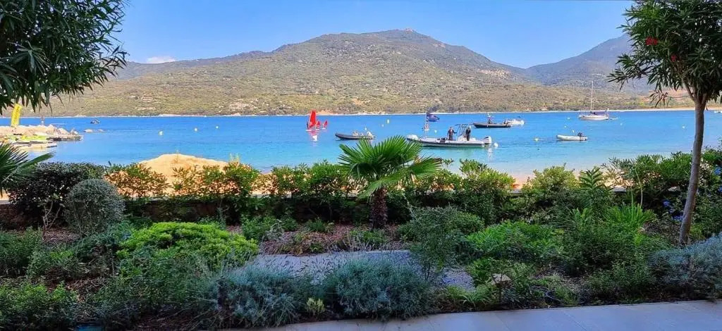 T3 Corse confort plage pieds dans l'eau wifi